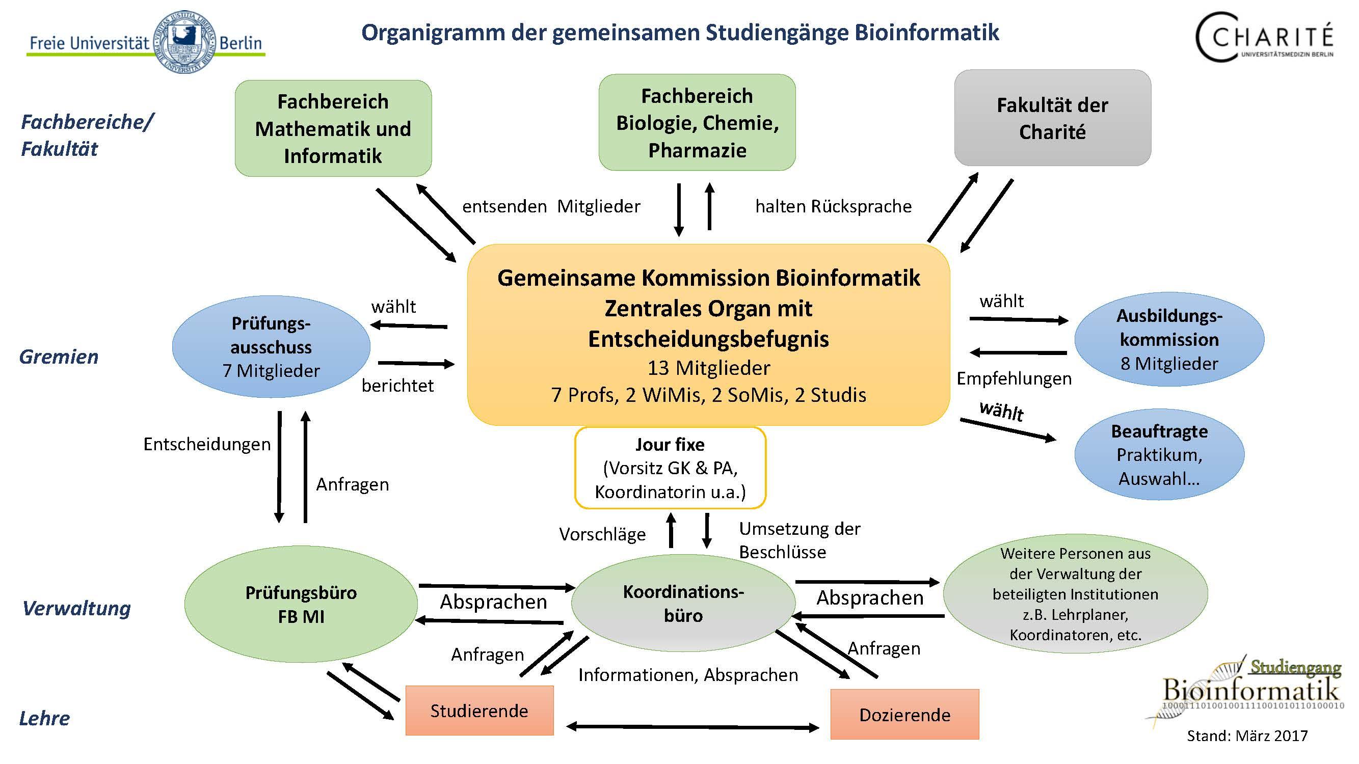 Organigramm Bioinformatik