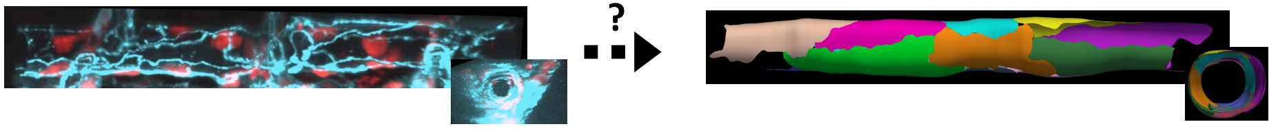 2022-09-08_os_seeler