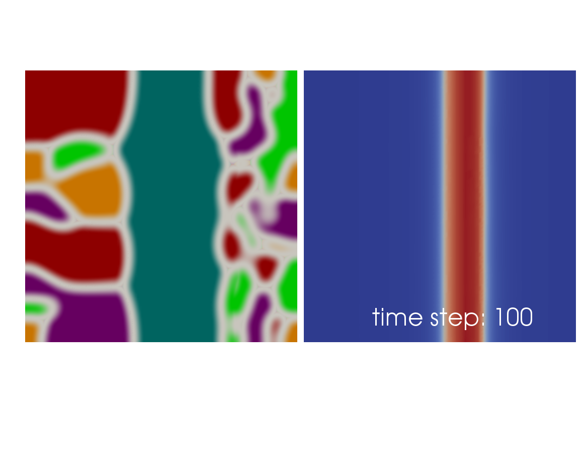 A time step from a grain growth evolution showing a distribution of phases (left) and temperature (right)
