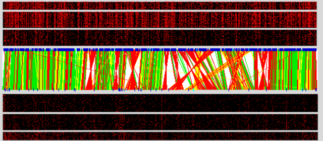Mein Genom im Alltag