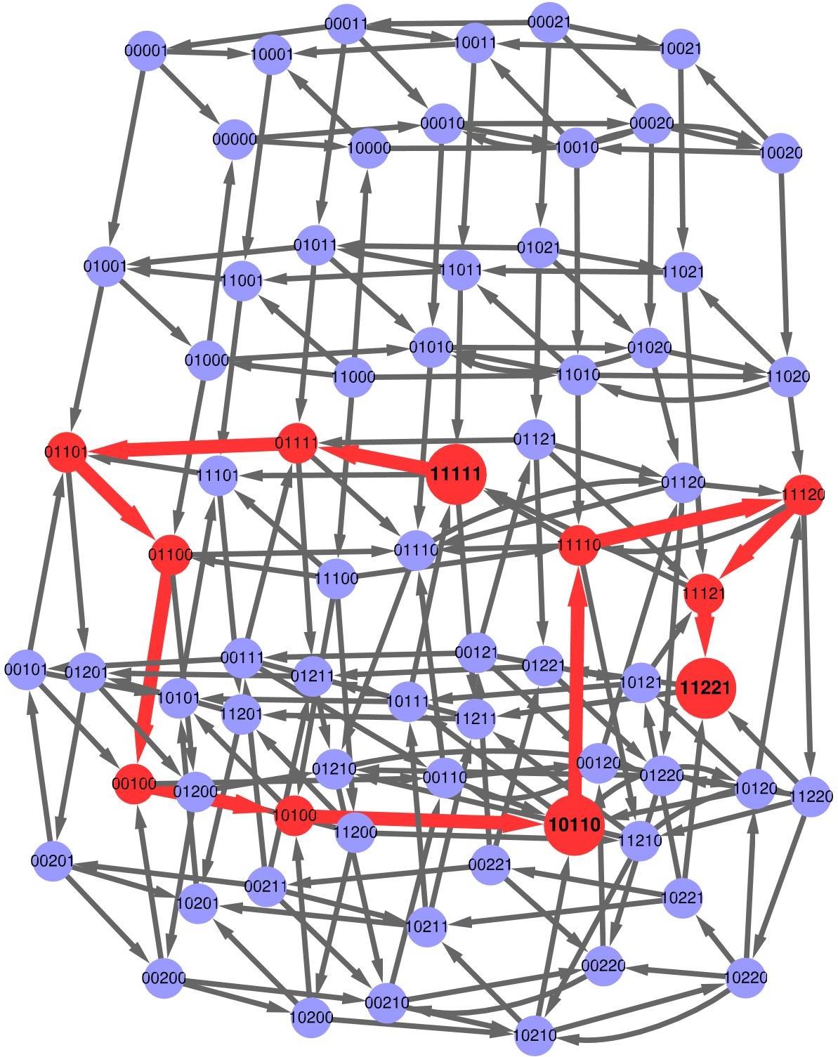 State transition graph with time series path