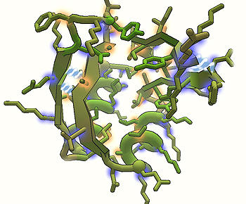 Bioinformatik - Mensch und Maschine im Fokus